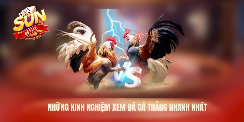 Những kinh nghiệm xem đá gà thắng nhanh nhất